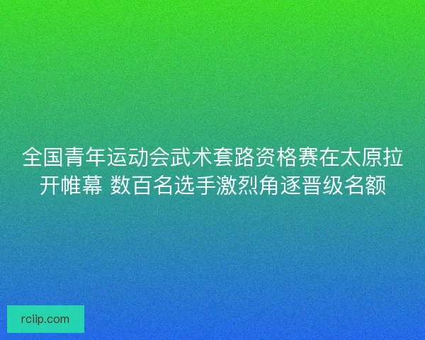 全国青年运动会武术套路资格赛在太原拉开帷幕 数百名选手激烈角逐晋级名额 全国青年运动会武术套路资格赛在太原拉开帷幕 数百名选手激烈角逐晋级名额