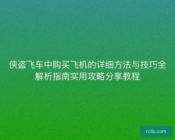 侠盗飞车中购买飞机的详细方法与技巧全解析指南实用攻略分享教程